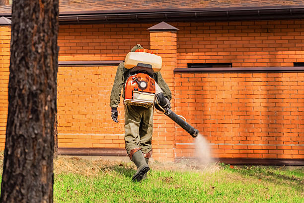 Trusted Cockroach Control service in Blackville, SC - Nex Pest Control